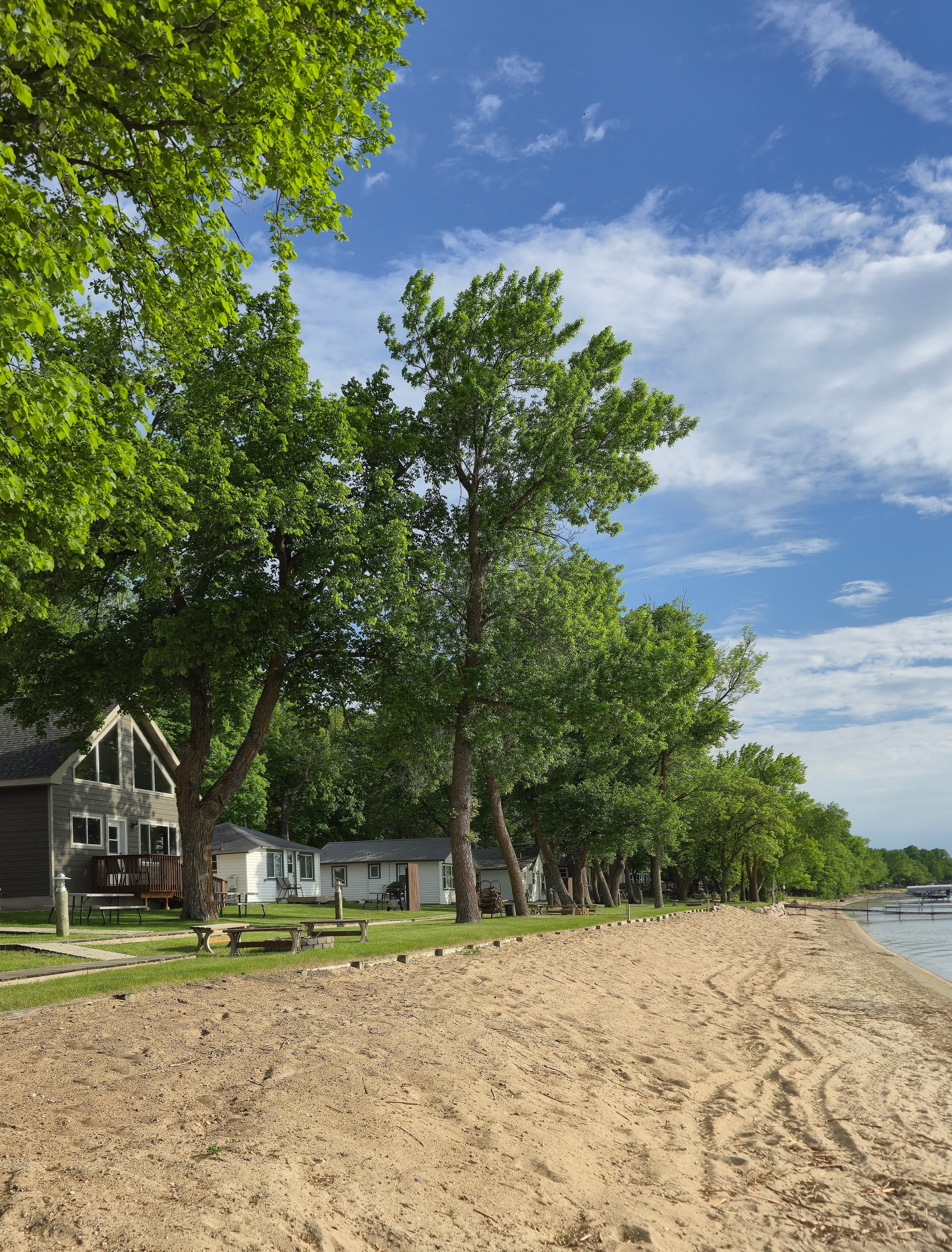 A sandy beach lined with trees and cabins under a blue sky.